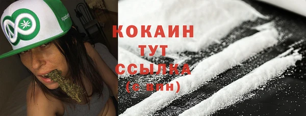 дмт Горняк