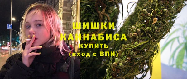 прущие грибы Бердск