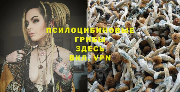 дмт Горняк