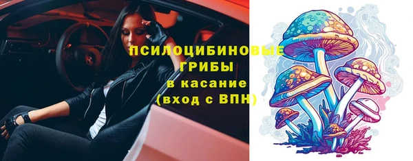МДМА Горнозаводск