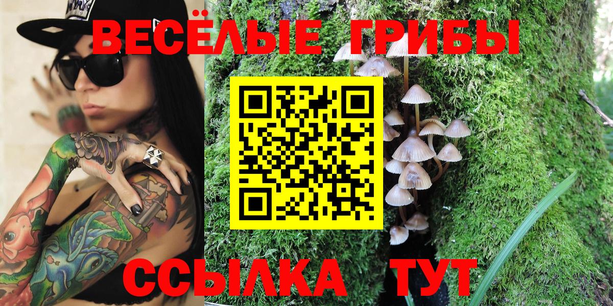 Галлюциногенные грибы Cubensis Дивногорск