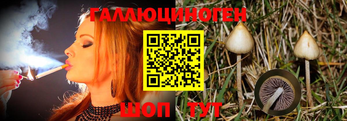Галлюциногенные грибы Magic Shrooms  Вход с VPN  Дивногорск  Псилоцибиновые грибы мухоморы 